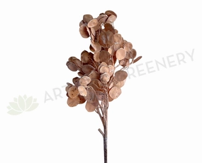 LEA0119 "Dried Look" Silver Dollar Eucalyptus Spray 95cm (Brown) xl flower pot  