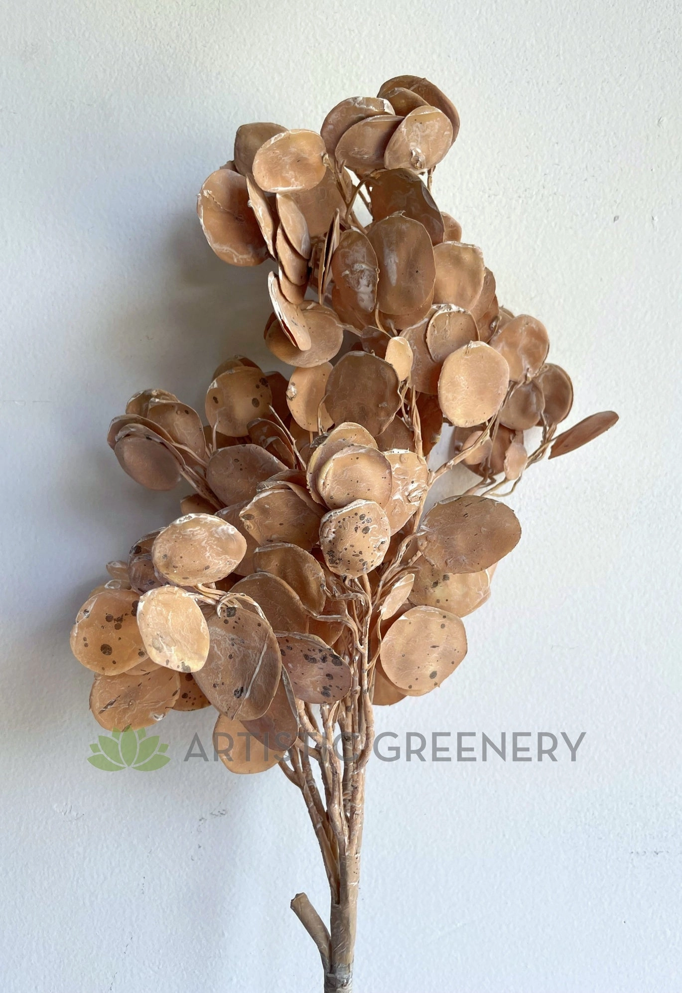 LEA0119 "Dried Look" Silver Dollar Eucalyptus Spray 95cm (Brown)