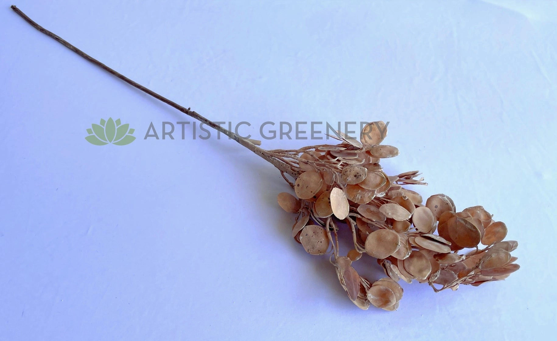 LEA0119 "Dried Look" Silver Dollar Eucalyptus Spray 95cm (Brown)