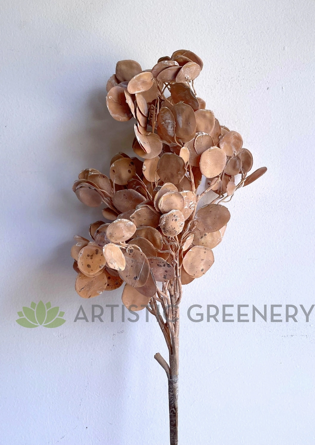 LEA0119 "Dried Look" Silver Dollar Eucalyptus Spray 95cm (Brown)