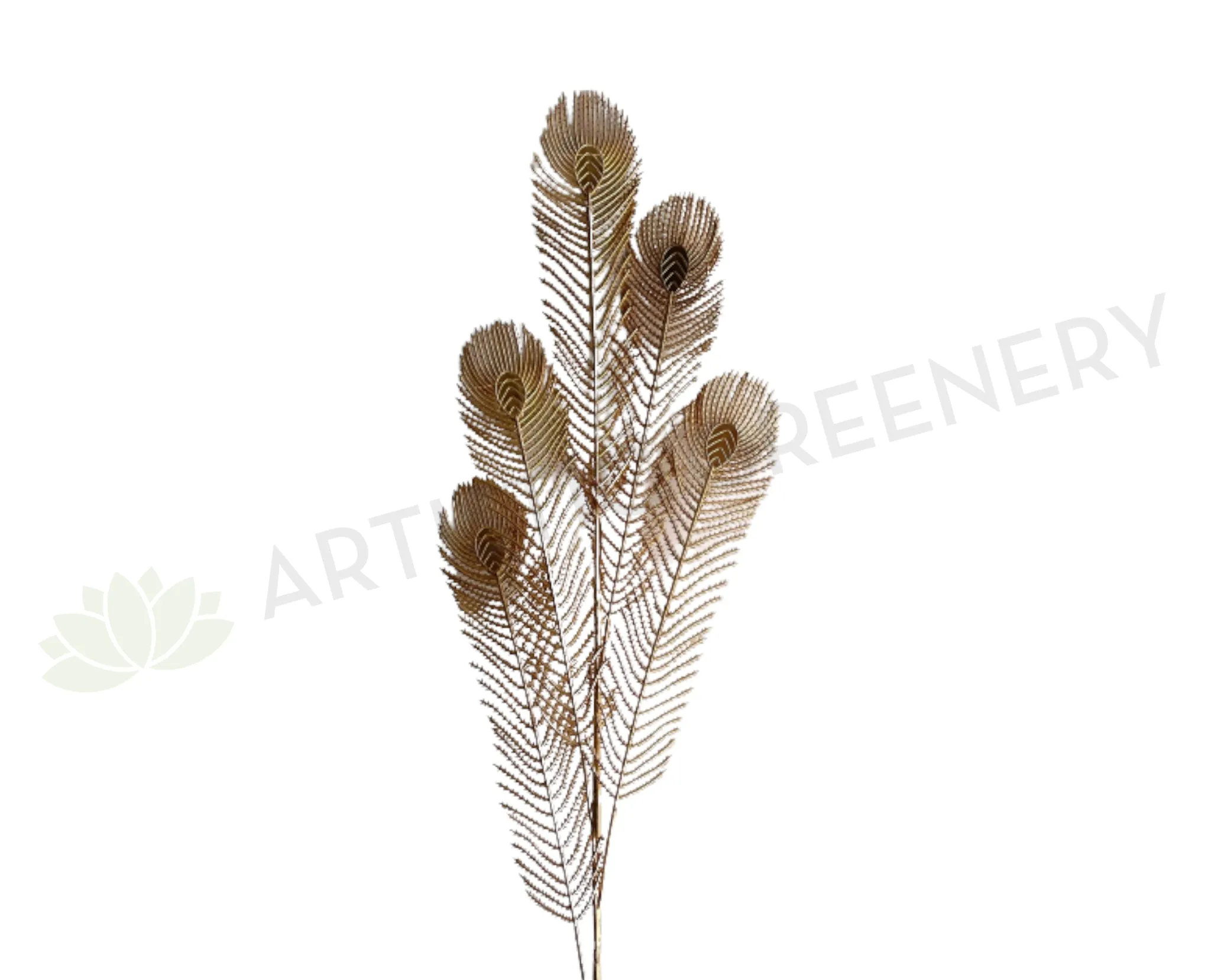 LEA0121 Gold Peacock Feather 98cm dried green plant  