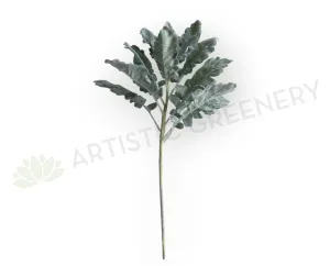LEA0124 Grey Dusty Miller / Silver Ragwort Foliage 45cm dried green plant  