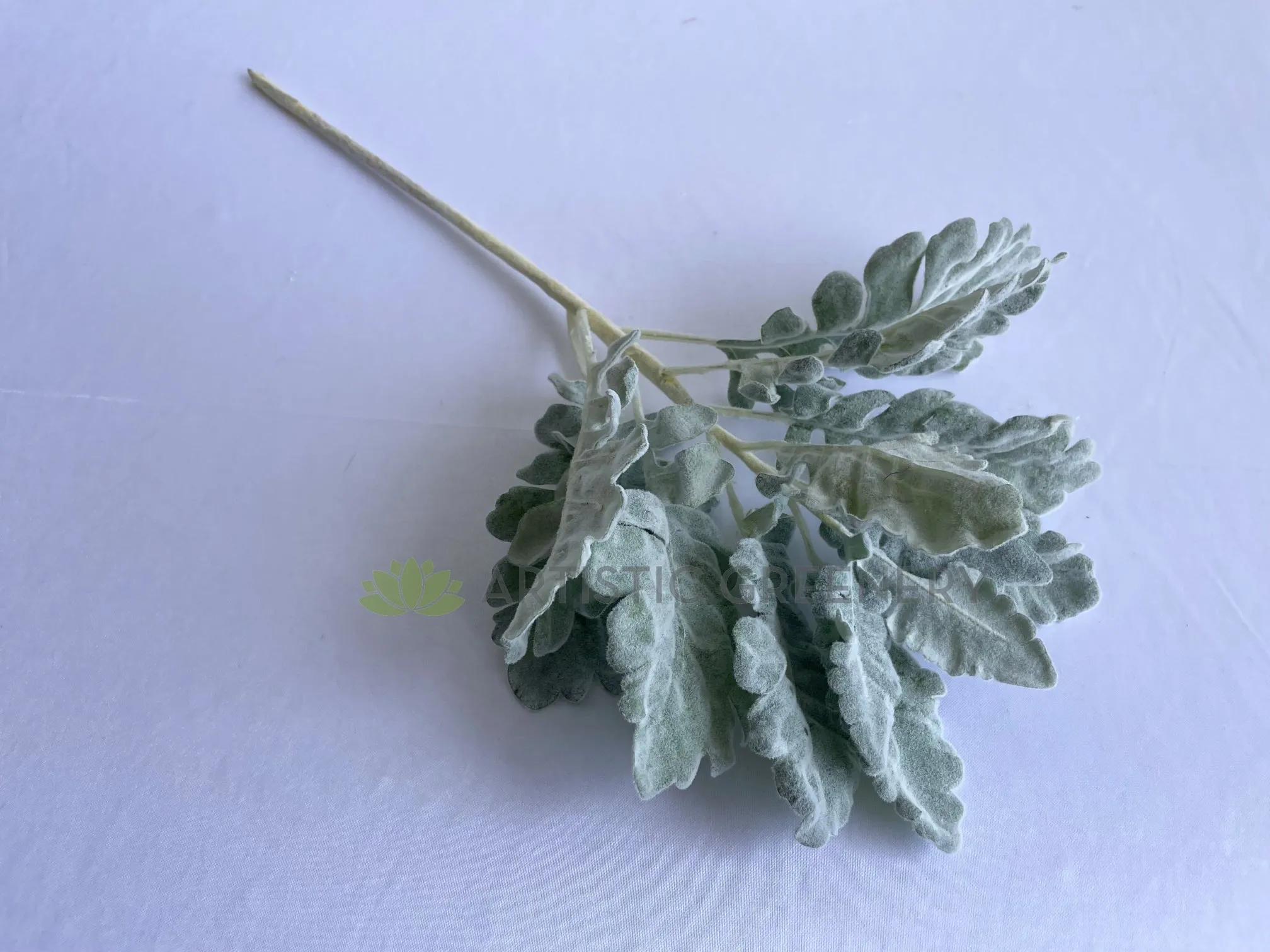 LEA0124 Grey Dusty Miller / Silver Ragwort Foliage 45cm