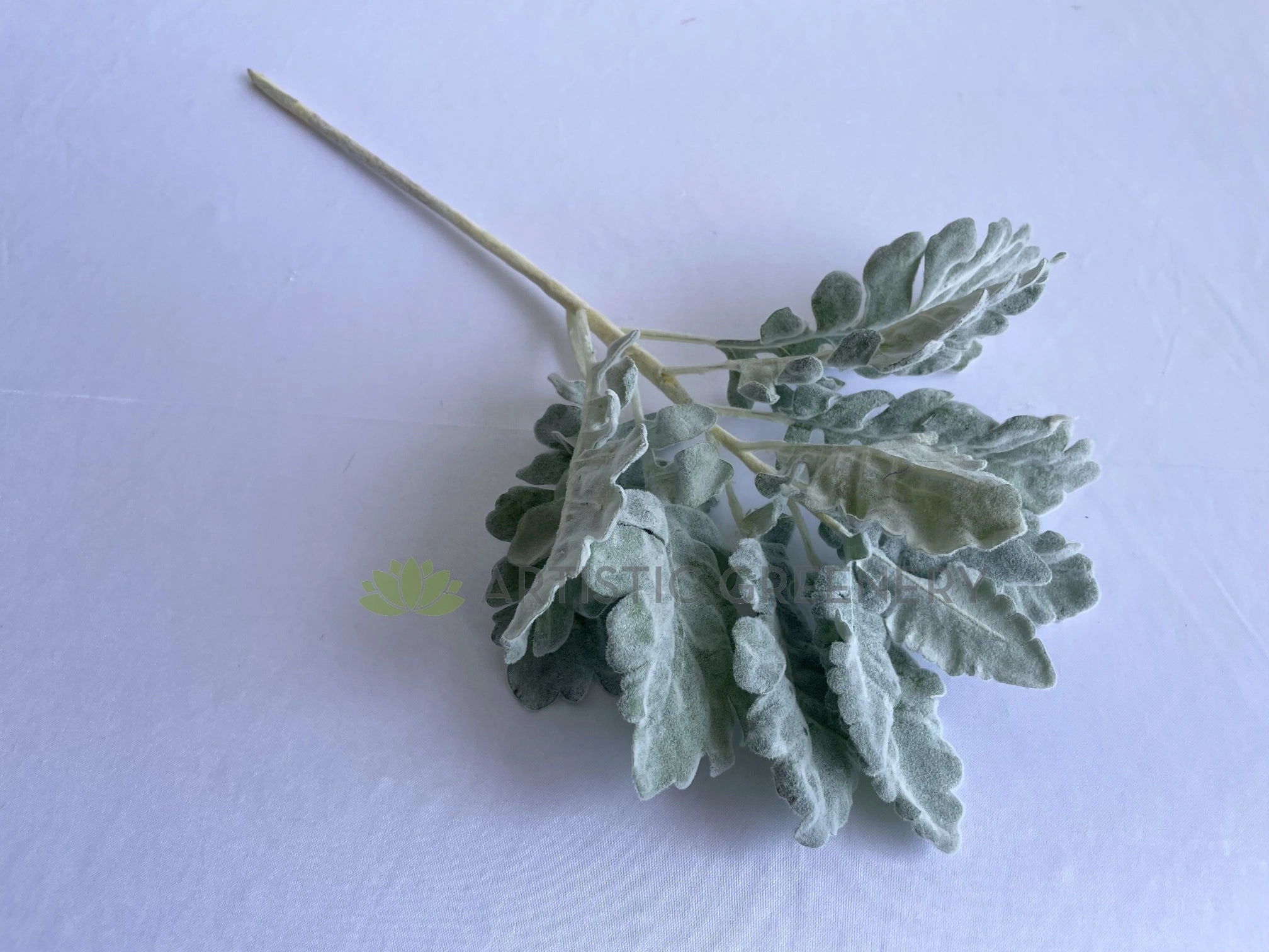 LEA0124 Grey Dusty Miller / Silver Ragwort Foliage 45cm