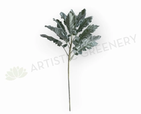 LEA0124 Grey Dusty Miller / Silver Ragwort Foliage 45cm xl flower pot  
