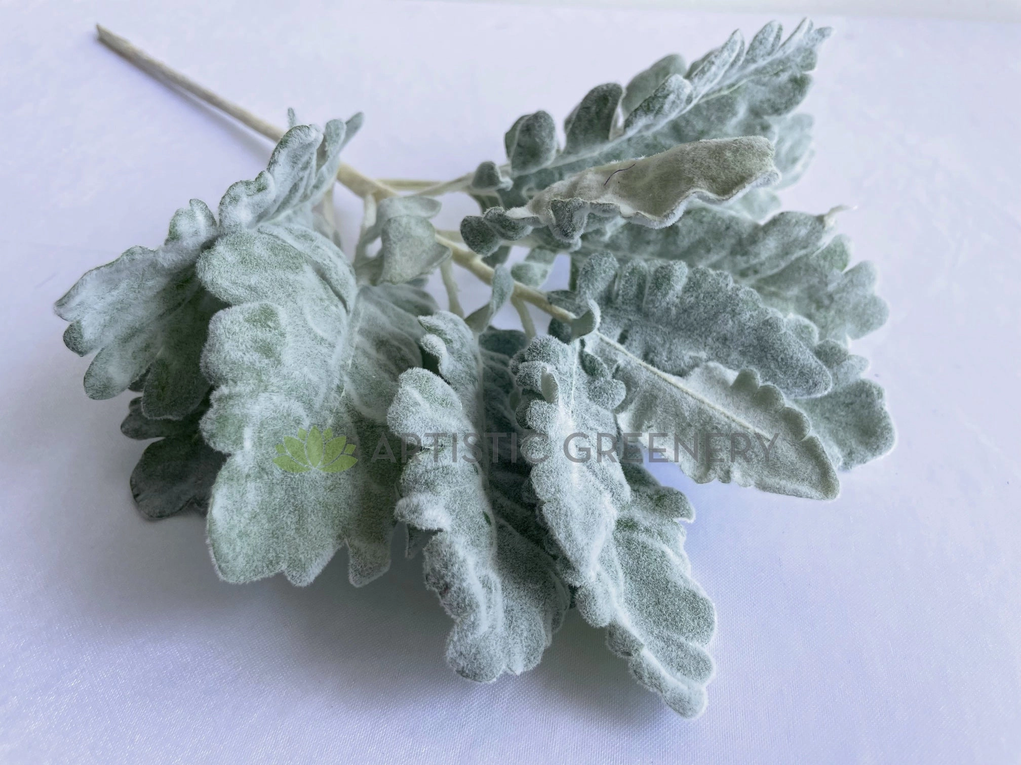 LEA0124 Grey Dusty Miller / Silver Ragwort Foliage 45cm