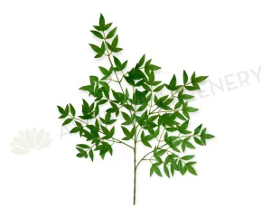 LEA0125 Scared Bamboo Foliage 66cm dried green plant  