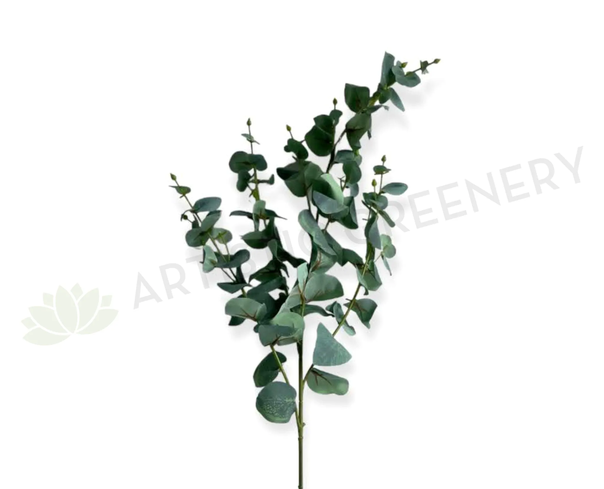LEA0126 Eucalyptus Spray 100cm Grey Blue dried green plant  