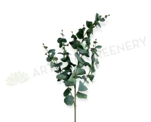 LEA0126 Eucalyptus Spray 100cm Grey Blue dried green plant  