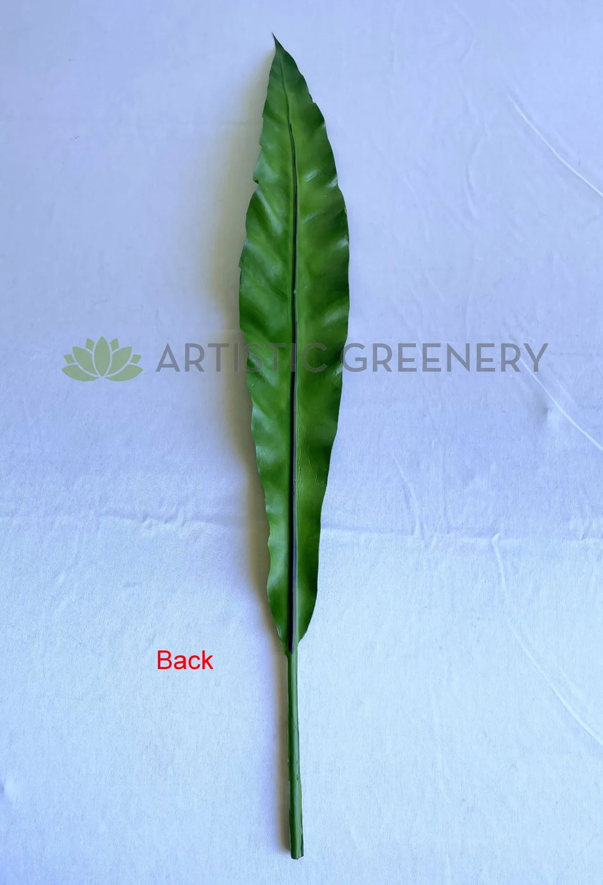 LEA0130 Brid Nest Single Leaf 58cm