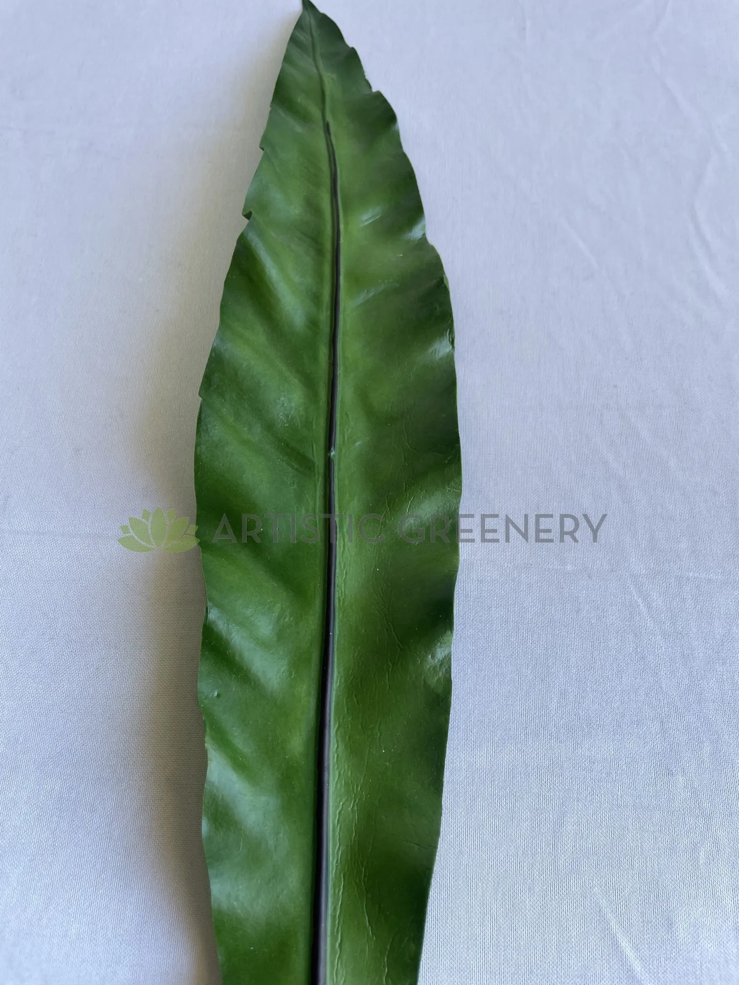 LEA0130 Brid Nest Single Leaf 58cm