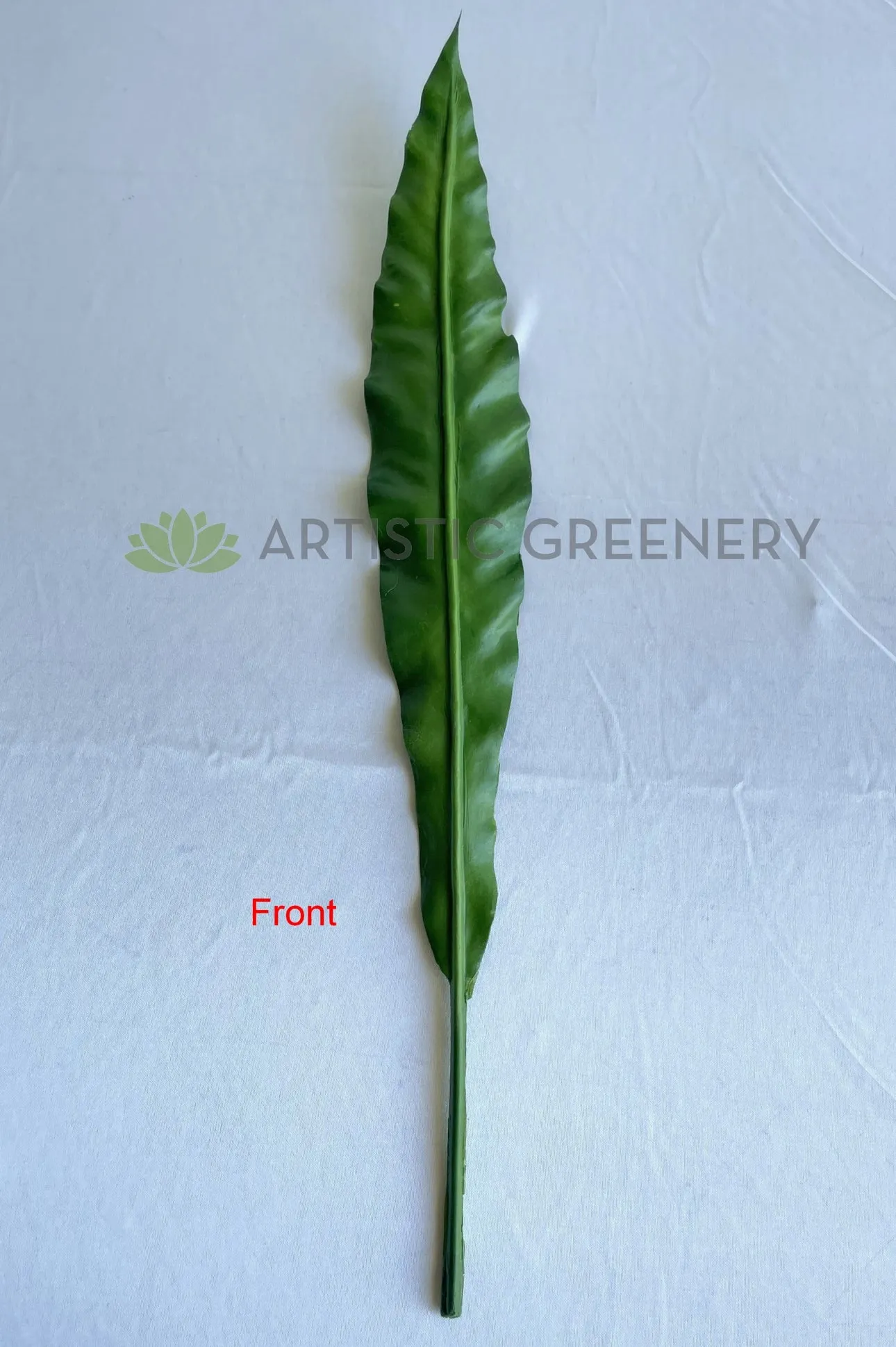 LEA0130 Brid Nest Single Leaf 58cm