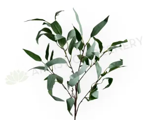 LEA0134 Eucalyptus Foliage 99cm Grey Green dried green plant  