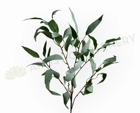 LEA0134 Eucalyptus Foliage 99cm Grey Green outdoor greenery  