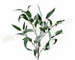 LEA0134 Eucalyptus Foliage 99cm Grey Green xl flower pot  