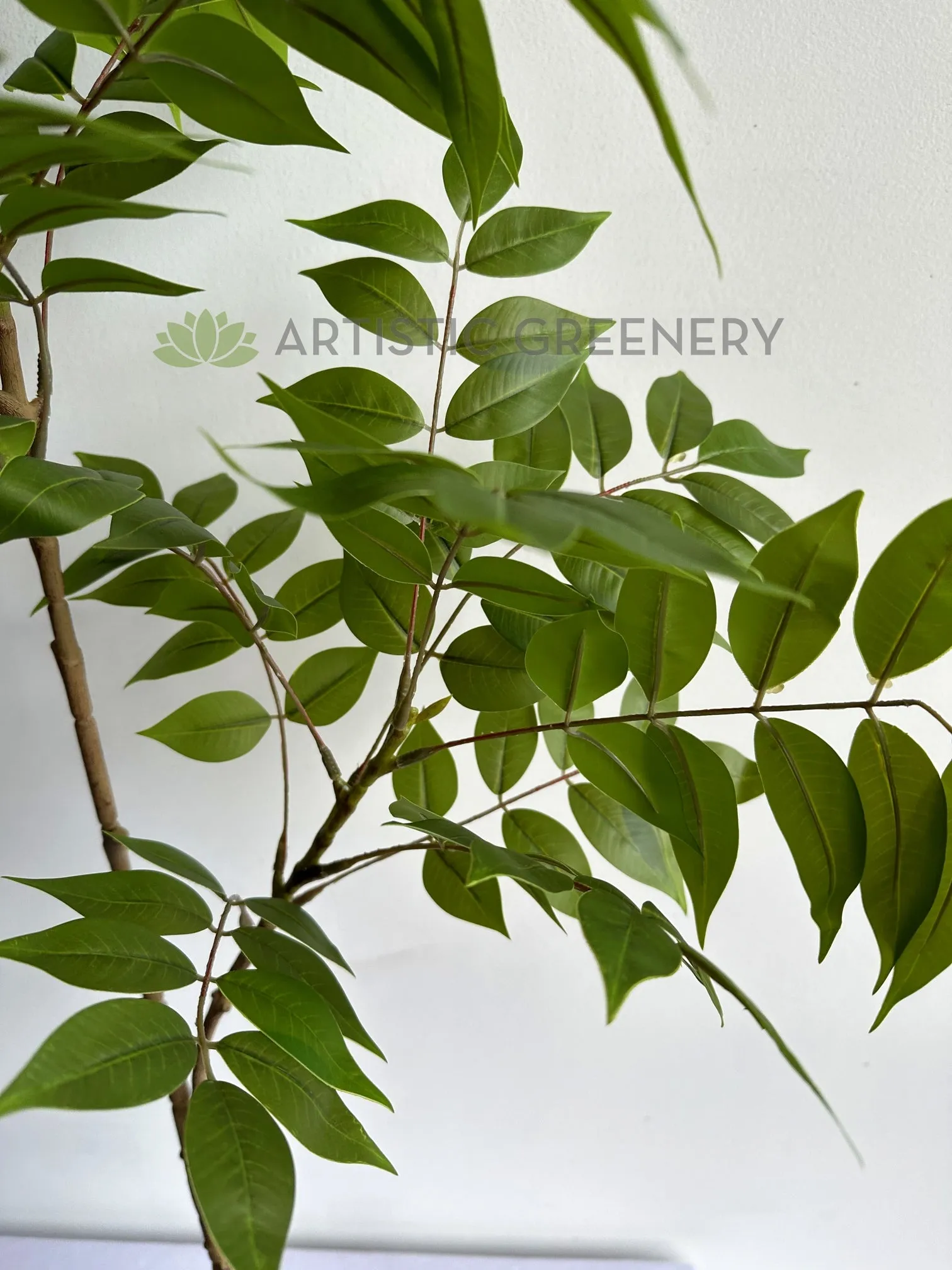 LEA0137 Wisteria Sinensis Foliage 108cm Green