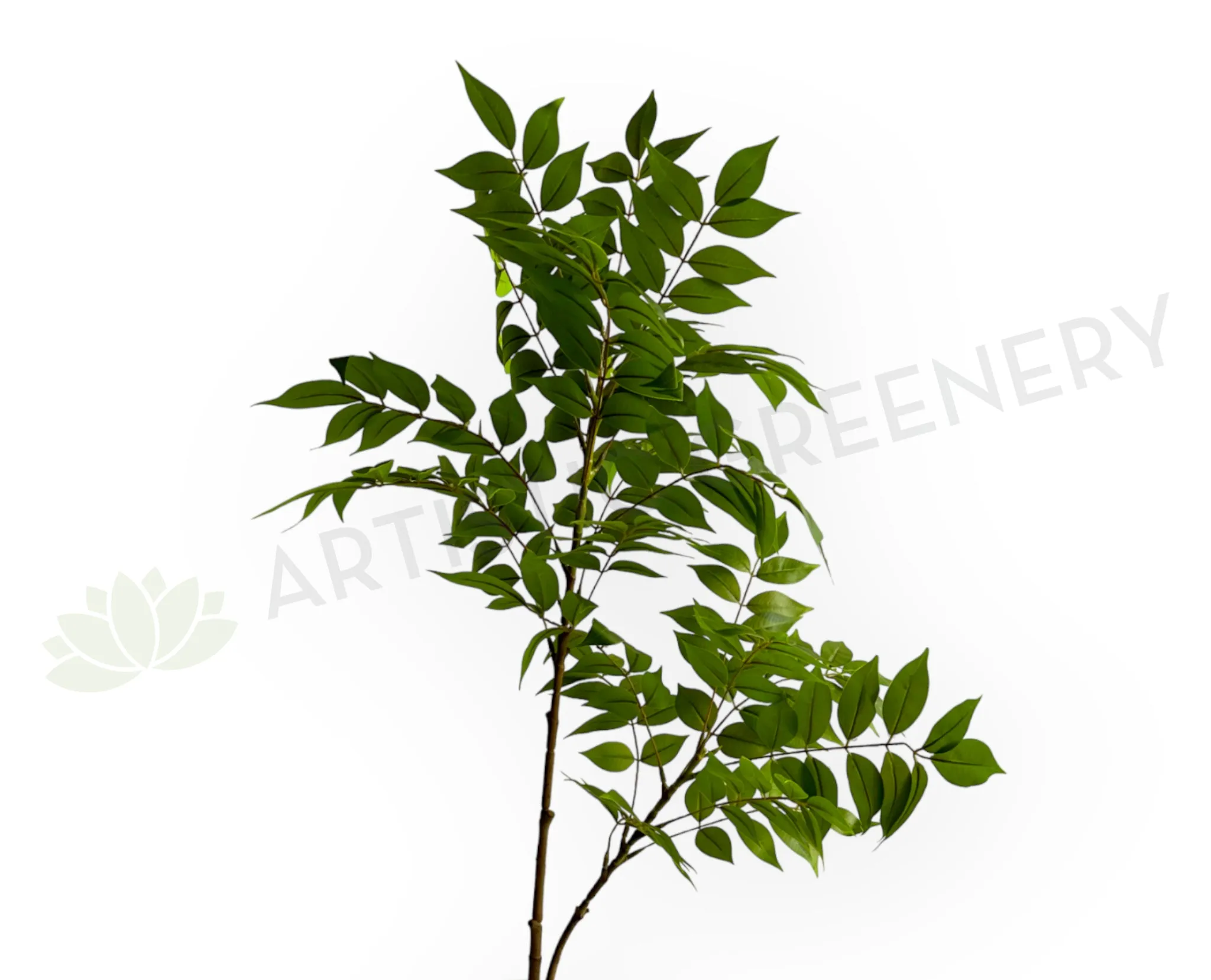 LEA0137 Wisteria Sinensis Foliage 108cm Green dried green plant  