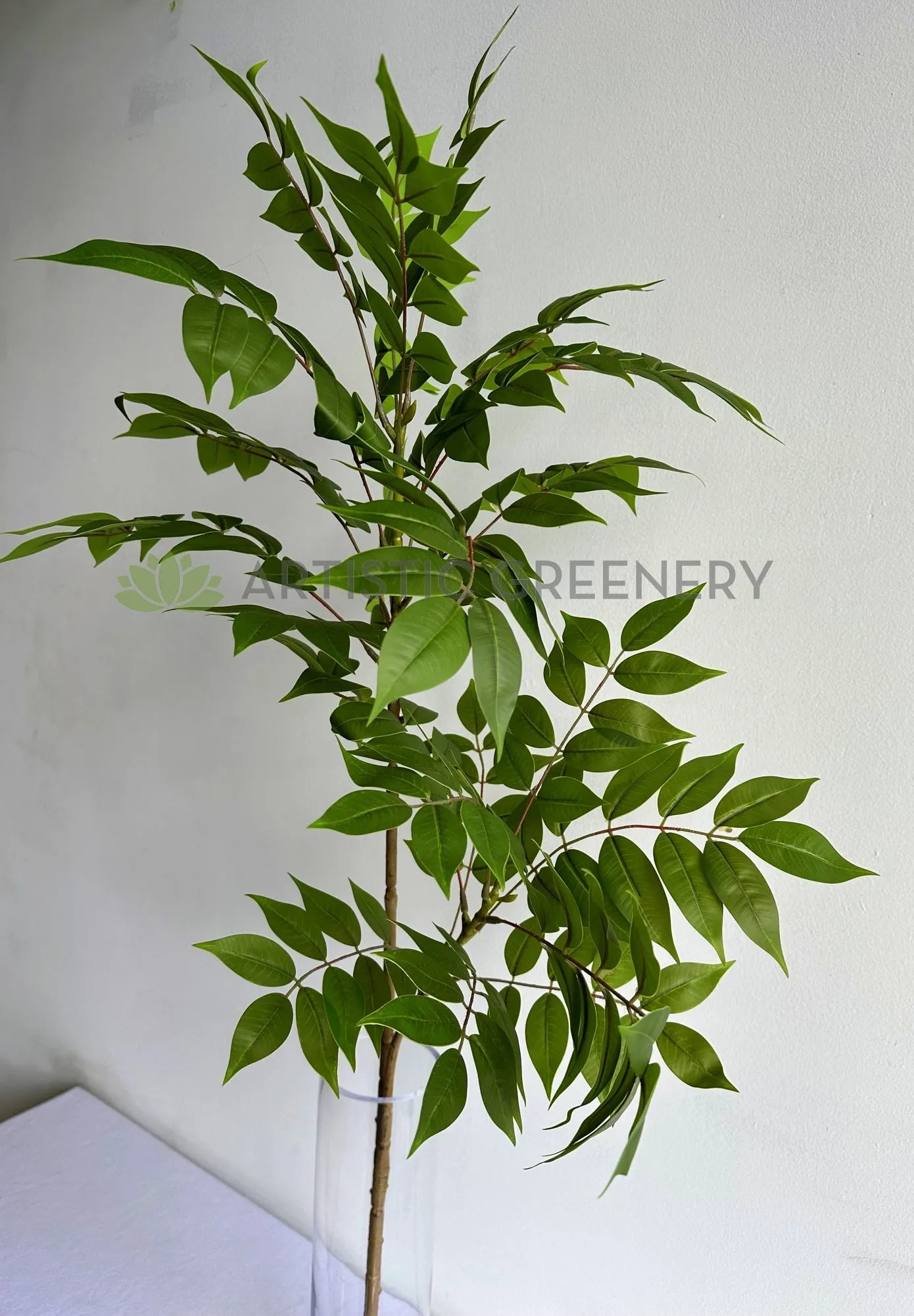 LEA0137 Wisteria Sinensis Foliage 108cm Green