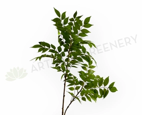 LEA0137 Wisteria Sinensis Foliage 108cm Green xl flower pot  