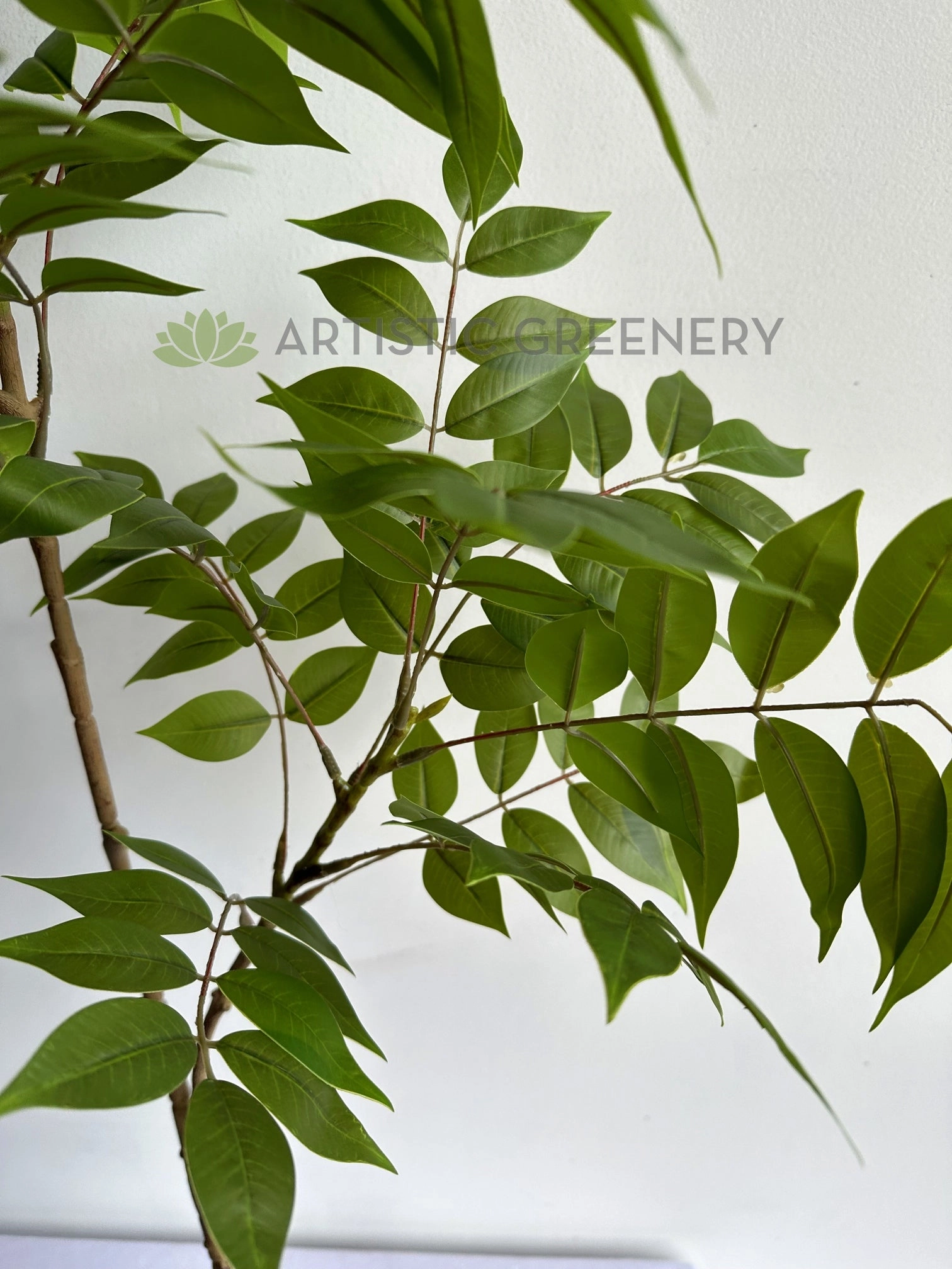 LEA0137 Wisteria Sinensis Foliage 108cm Green