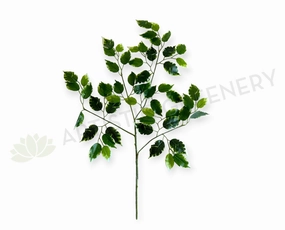 LEA0141 Variegated Ficus Leave xl flower pot  