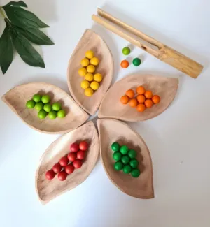 Leaf tray set of 5 V59-738 dried flowers  