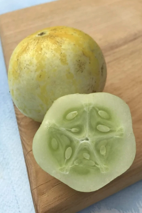 Lemon Cucumber Seeds Art Pack