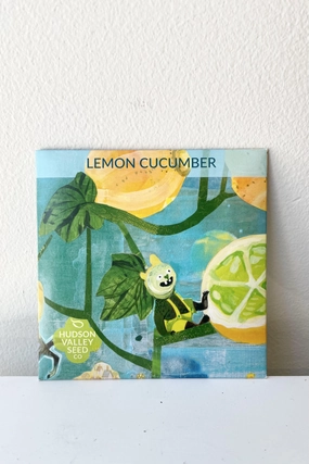 Lemon Cucumber Seeds Art Pack decorative flowerpot  