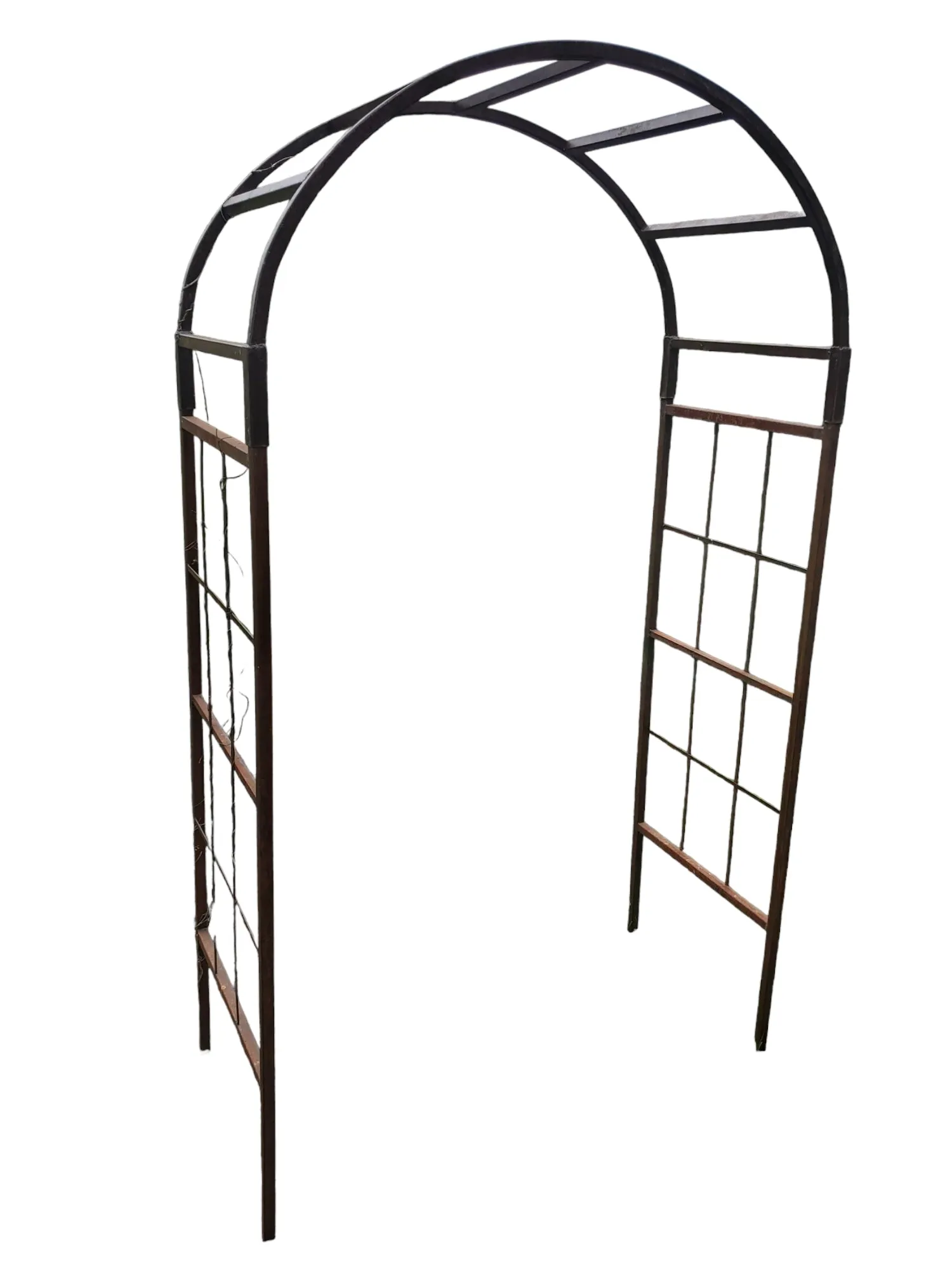 Leo Arbor