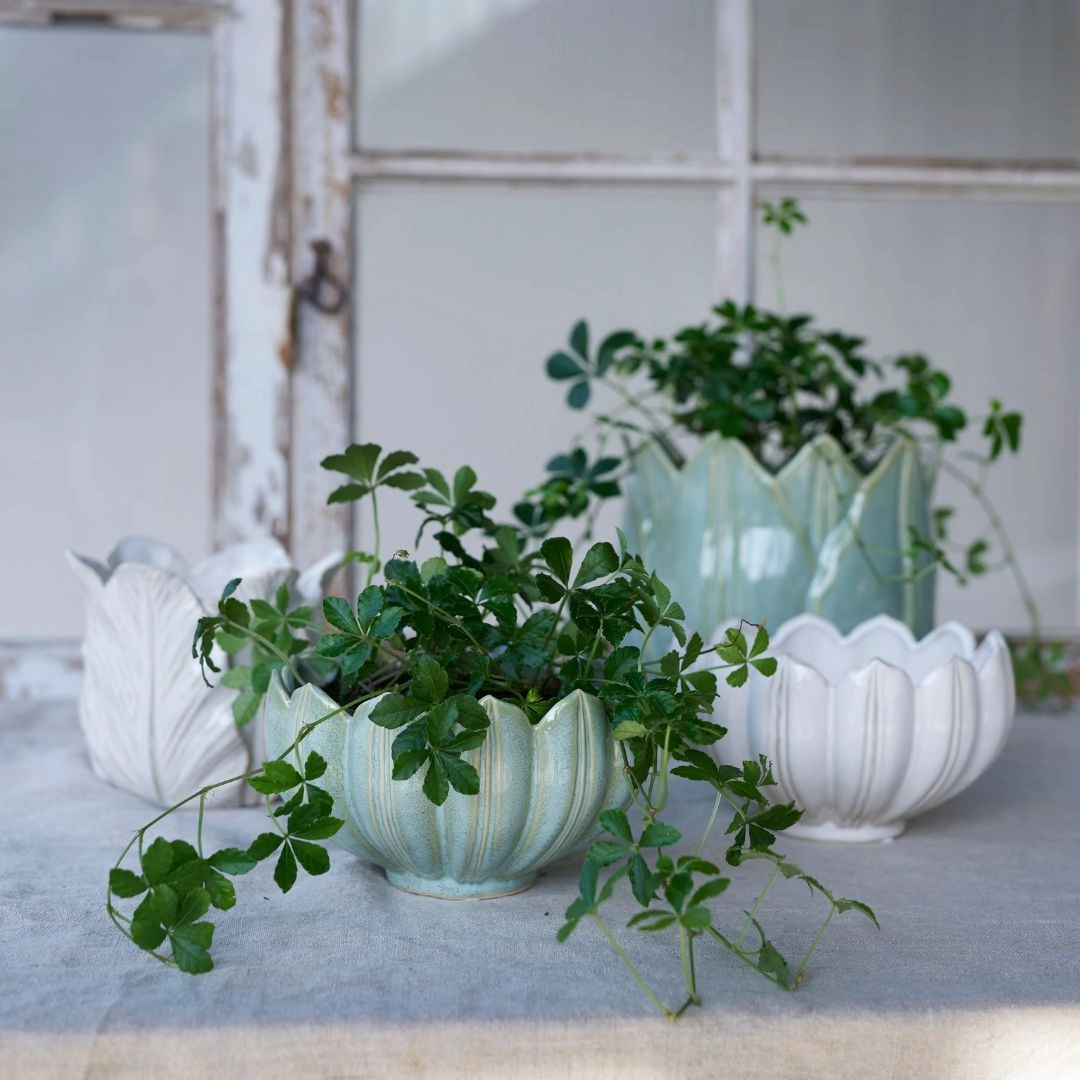 Leslie Planter Green