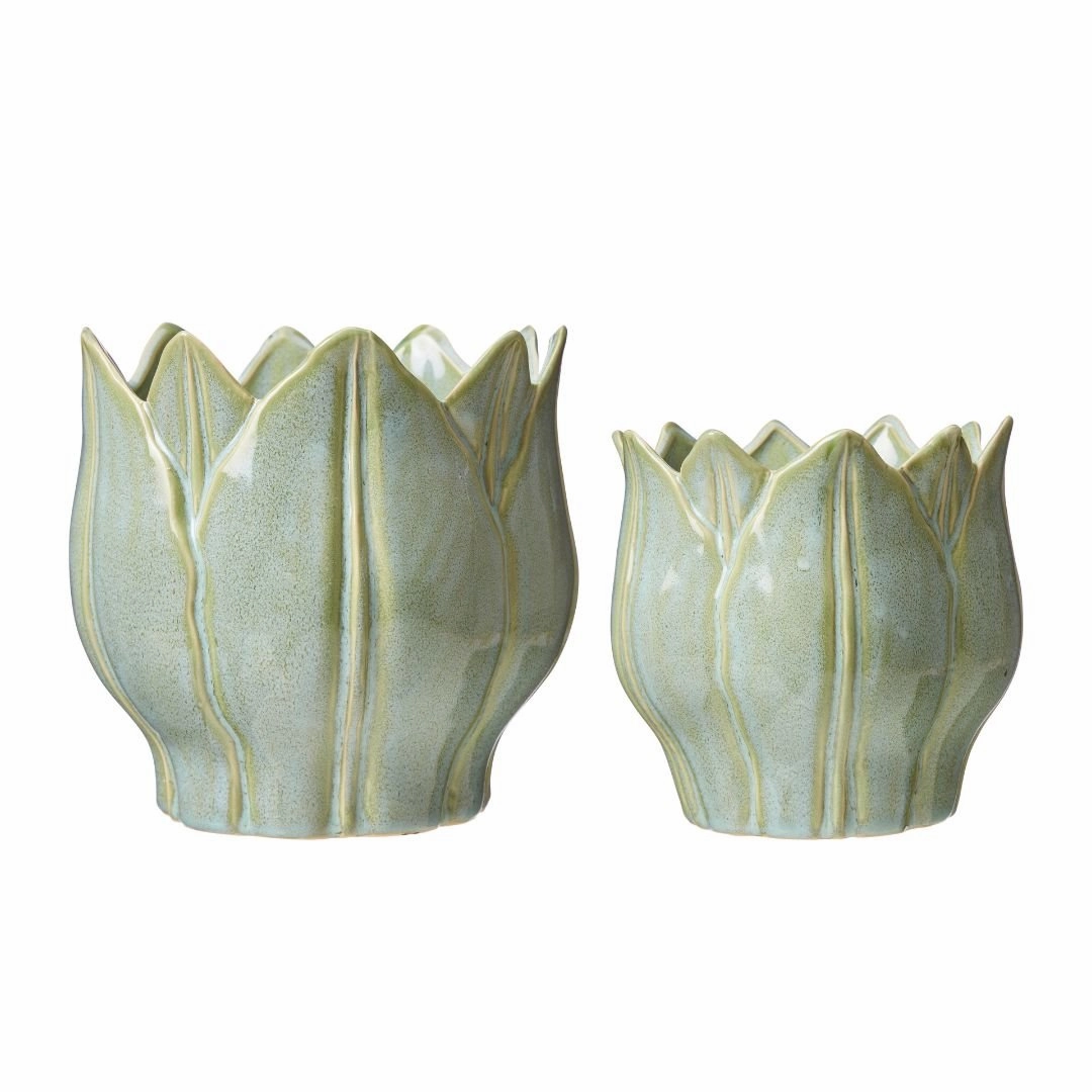 Leslie Pot Green plant seeds  
