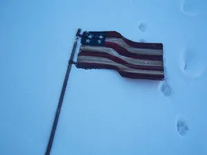 LG. AMERICAN FLAG decorative plants  