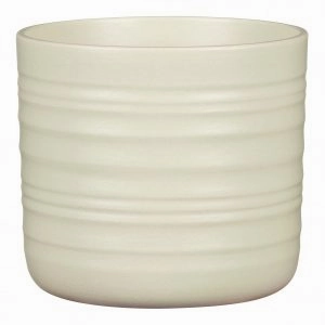 Light Green Indoor Ceramic Cover Pot Silent Green (850) tall green plant  