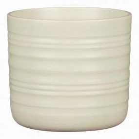Light Green Indoor Ceramic Cover Pot Silent Green (850) tall green plant  