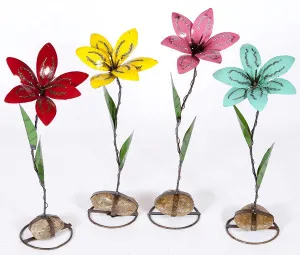 Lilly on Rock Base decorative plants  