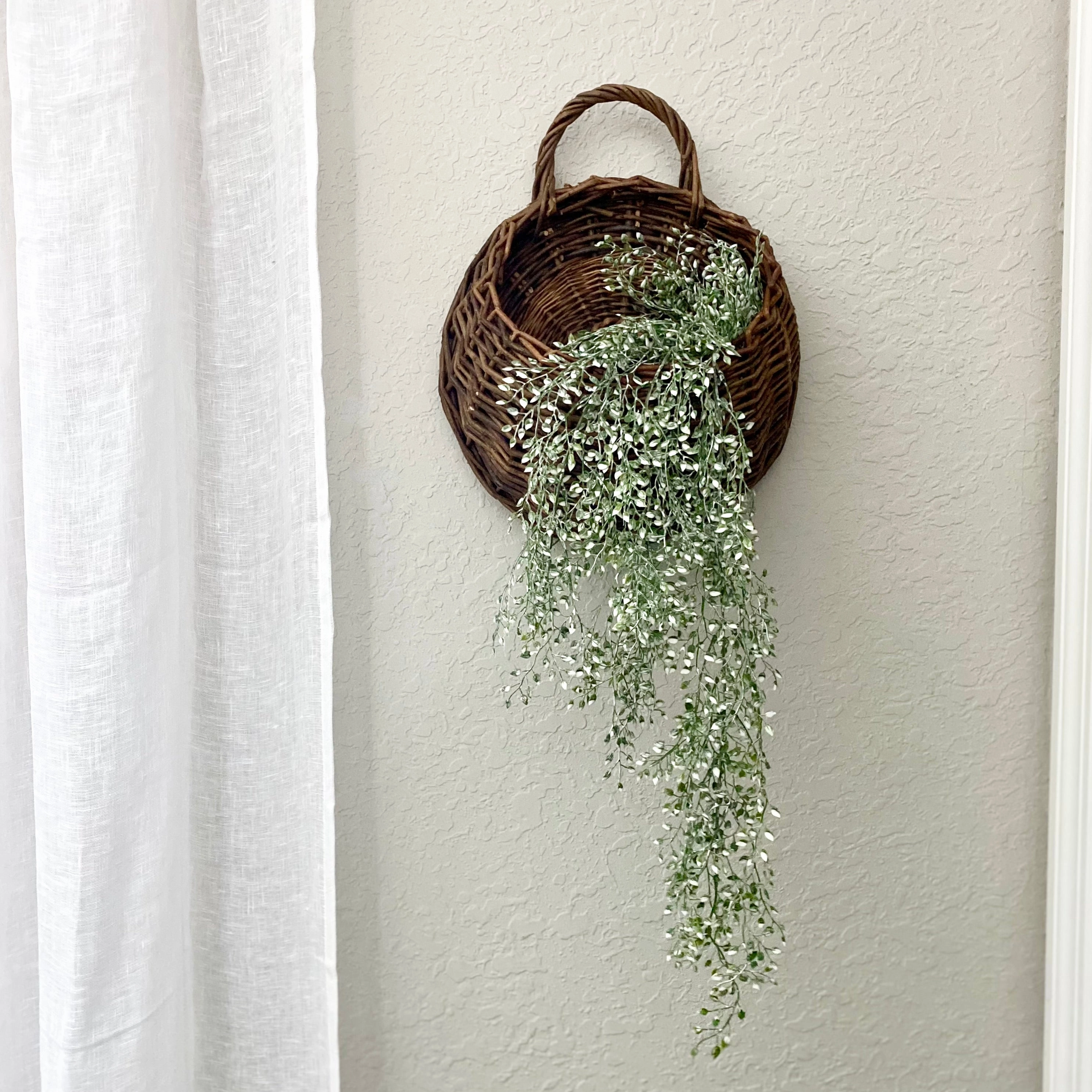 Little Luna Draping Vine