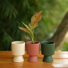 Long Okhli Shape With Glossy Finish Ceramic Planter classic flowerpot  