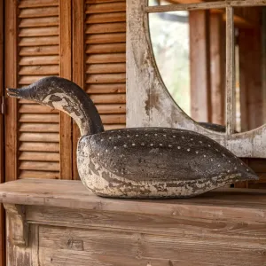 Loon Decoy dried flowers  