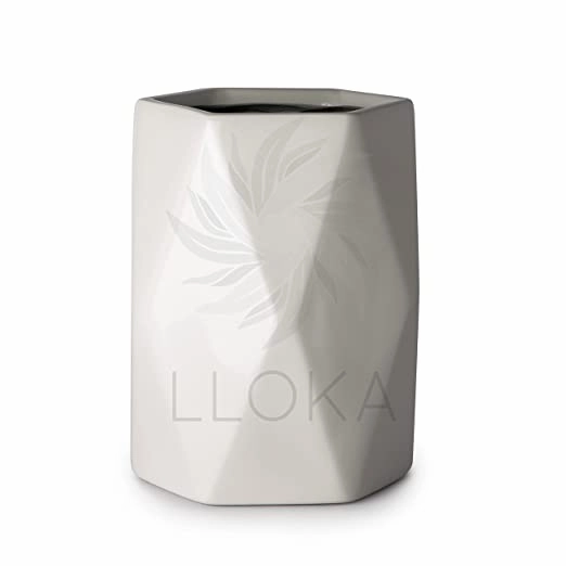 Luxurious Fiberglass Planters Table Top Pots & Planters (Prana_Geo_05)