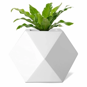 Luxurious Fiberglass Table Top Planters Prana_GeoE_01 (7 inches) classic flowerpot  