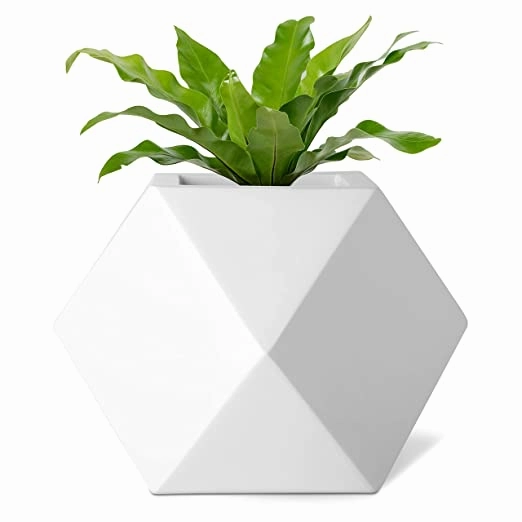 Luxurious Fiberglass Table Top Planters Prana_GeoE_01 (7 inches) shade perennial  