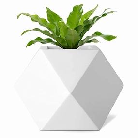Luxurious Fiberglass Table Top Planters Prana_GeoE_01 (7 inches) shade perennial  