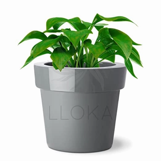 Luxurious Fiberglass Table Top Pots & Planters - Prana_Classic_01 shade perennial  