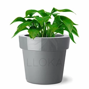 Luxurious Fiberglass Table Top Pots & Planters - Prana_Classic_01 shade perennial  