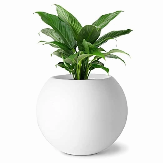 Luxurious Fiberglass Table Top Pots & Planters - Prana_Sph_02