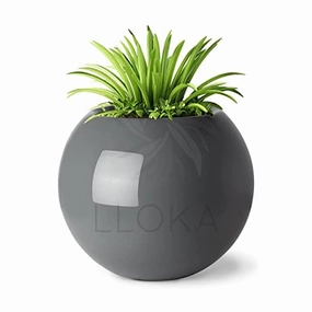 Luxurious Fiberglass Table Top Pots & Planters - Prana_Sph_02 shade perennial  