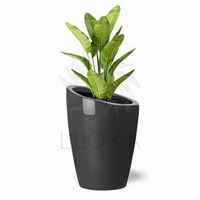 Luxurious Floor Planter Marga_CC_01 ceramic planter  