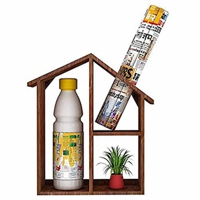 Lycka Wooden Wall Mounted Multipurpose Shelf cactus succulent plant  