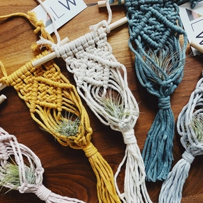 Macrame Air Plant Holder - Green plant seeds  