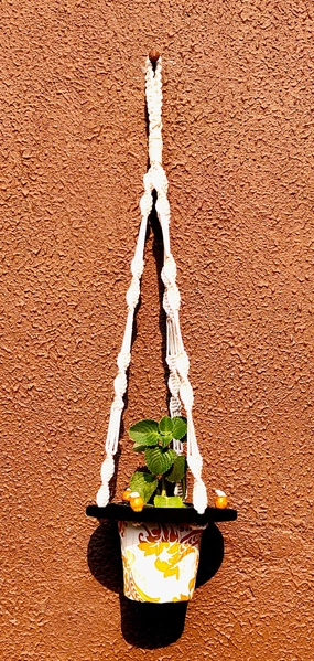 Macrame Cotton Black Round Plant Hanger Rope (Ring Beads) cactus succulent plant  